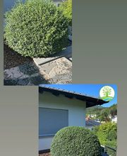 Traumplatz Garten- Gebäudemanagement Bild 3