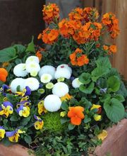 Gärtnerei Schlegel Hinterholz Bild 9