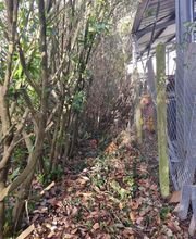 Bouche Nicolas image 15