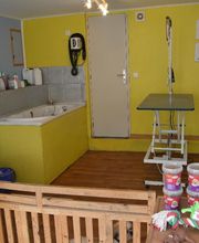 Au Caprice Du Chien image 5