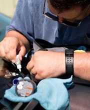 Car Care Auto Body & Refinishing image 9