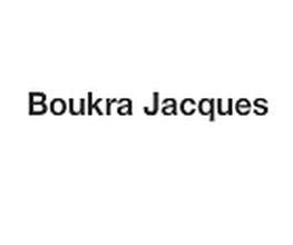 Boukra Jacques image 2