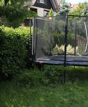 Elztal Gartenbau Bild 42