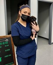 Bedford Oaks Family Vet image 3