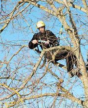 Tim Schmid Paysages Bild 9