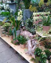 Gartenland Rabovsky e.K. Bild 1