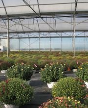 ESAT DOMAINE DU PUCH image 3