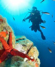 Nautica Plongée image 3