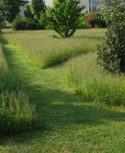 Douaire David image 13