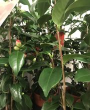 Unser Grundgedanke baut auf einem langjährigen Vertrauensverhältnis zwischen Kunden, Lieferanten, eigenen Mitarbeitern und Handelspartnern.