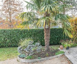 Jardin Services EURL image 17