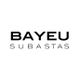 logobayeu.jpg