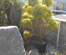 BEDRI GMBH Bild 3