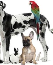 Schröder, Kristin Bild 1