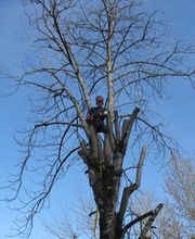 Agri Energie 62 SARL image 4