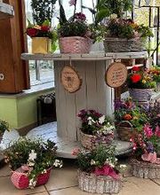 Blumen Haider Bild 6