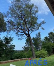 Danielou Elagage image 4