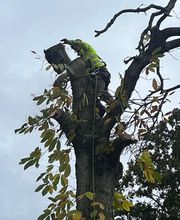 L.W.Espaceverts image 1