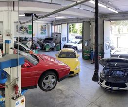 Gallery Cliente