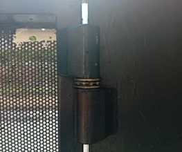 310110994-1-5pAlTVzKW41785242864010.jpeg