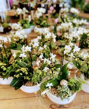 VillaVerde Pia - Perpignan image 6