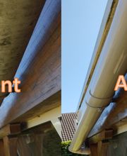 SPservices image 19