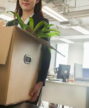 Umzüge Seitz Bild 2