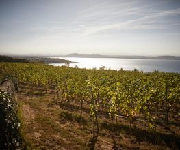Domaine Saint-Sébaste Bild 7