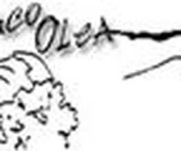 LOGOLISTA.jpg