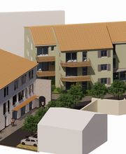 Darrot Emilie image 1