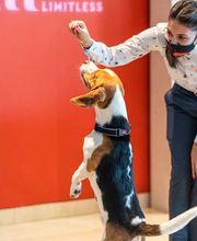 ibis Ulm City Bild 7