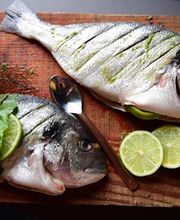 Zwei frische Fische werden mit Limettenscheiben und grünen Blättern kunstvoll angerichtet. Die Komposition betont natürliche Zutaten, kräftige Farben und handwerkliche Zubereitung.