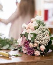 Garden & Nostalgia imagen 7