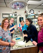 Town & Country Veterinary Clinic image 17