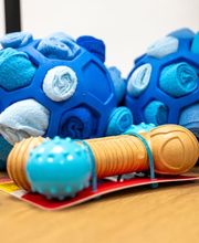 Lina, Hundert Prozent wau, Gesundheit, Training und Unterstützung für Hunde und ihre Menschen, Sandra Egli Bild 5