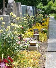 Friedhof an der Altgasse in Baar