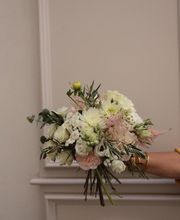 Persephone image 8