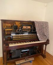 Danel Hervé image 6