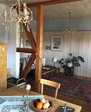 Hundeparadies Brandenburg Bild 2