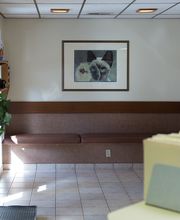 White Oak Veterinary Clinic image 2