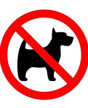 Camping Los Madriles imagen 7