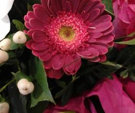 Mireille Fleurs image 11