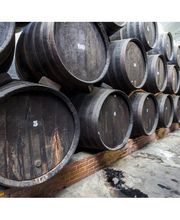 Bodegas Los Jumillanos imagen 16