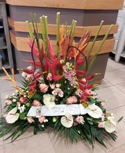 La Tulipe Noire image 15