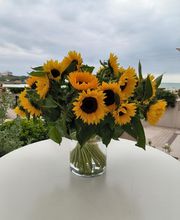 Atelier Flore image 16