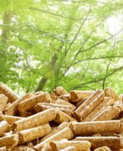 Fleischer Christian Heizung & Sanitär GmbH Bild 7