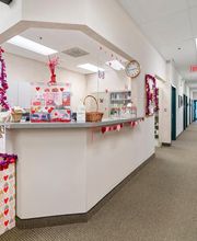 Center For Total Eye Care image 3