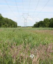 Eurl de Peyrols image 2