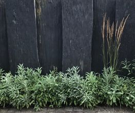 WENK Garten Bild 9