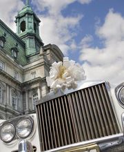 Auch ein Rolls Royce Silver Shadow ist bei der K & K Oldtimer-Vermietung aus zu leihen - ein komfortables und repräsentatives Hochzeitsauto. Zu mieten ist der Oldtimer mit einem schönem Blumenschmuck.